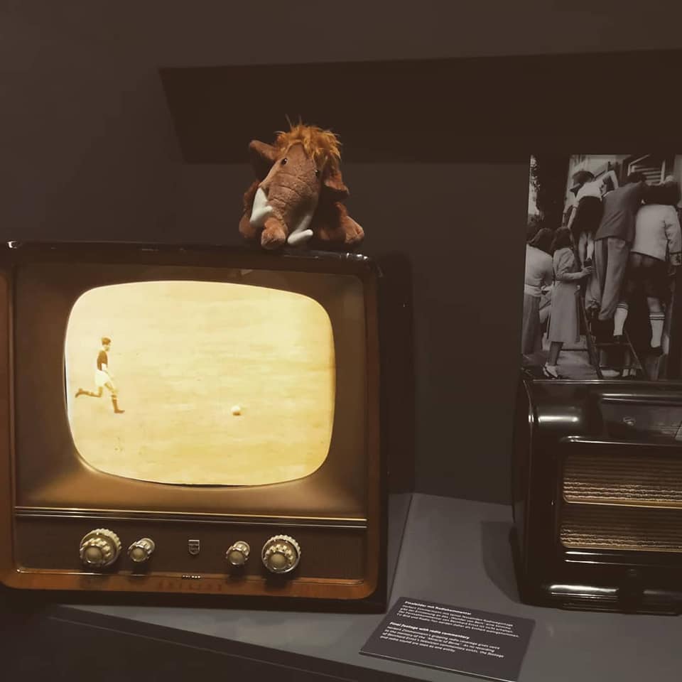 Mammut Tinka sitzt auf Fernseher im Fußballmuseum