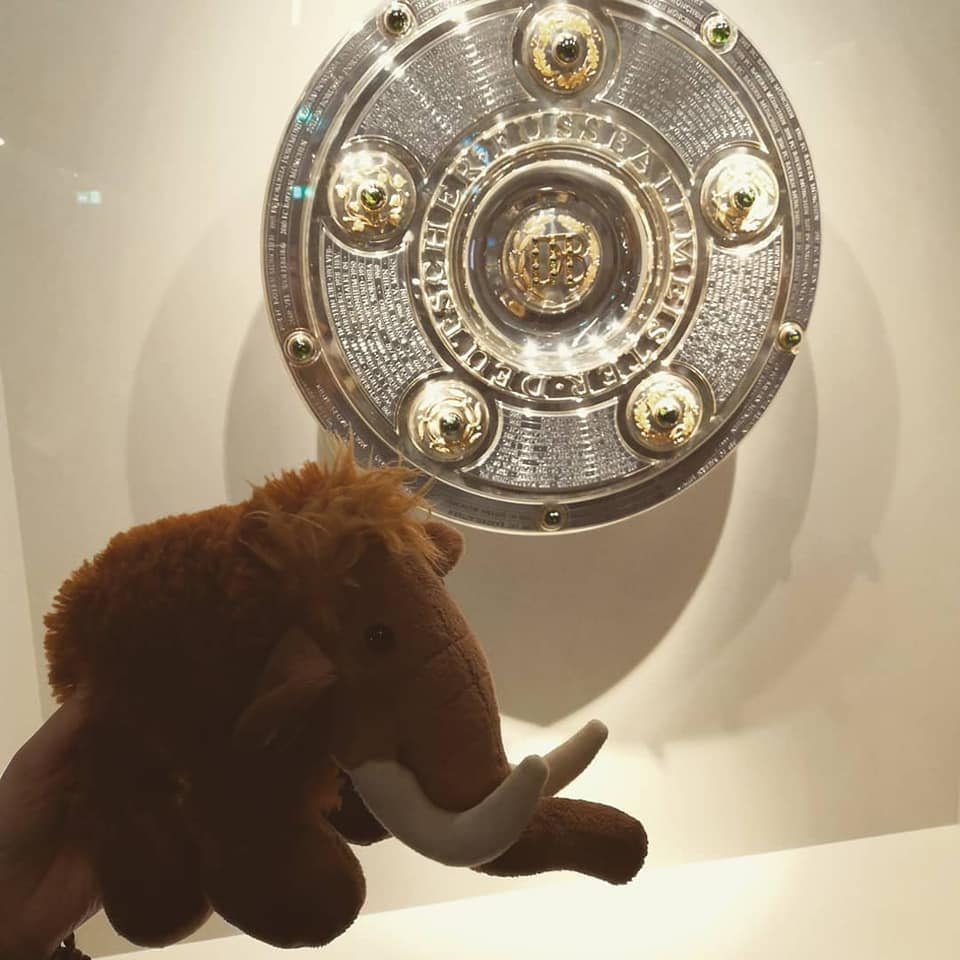 Mammut Tinka vor der Meisterschale