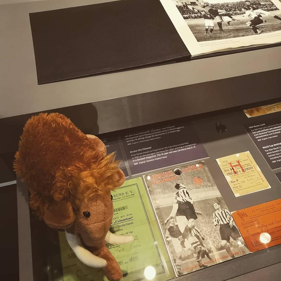 Mammut Tinka im Fußballmuseum