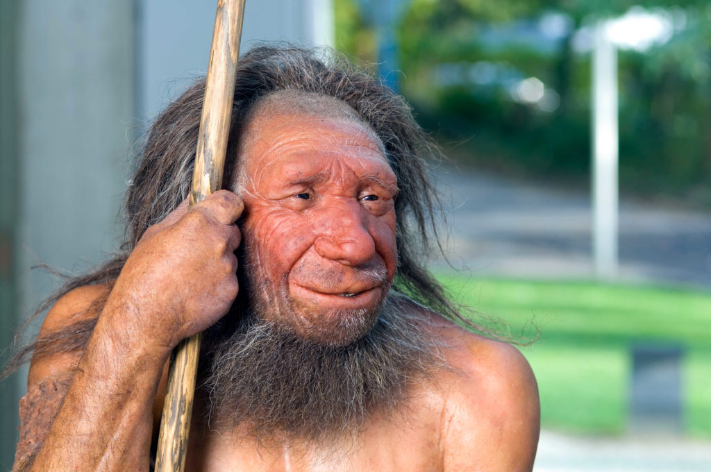 Neanderthaler Rekonstruktion